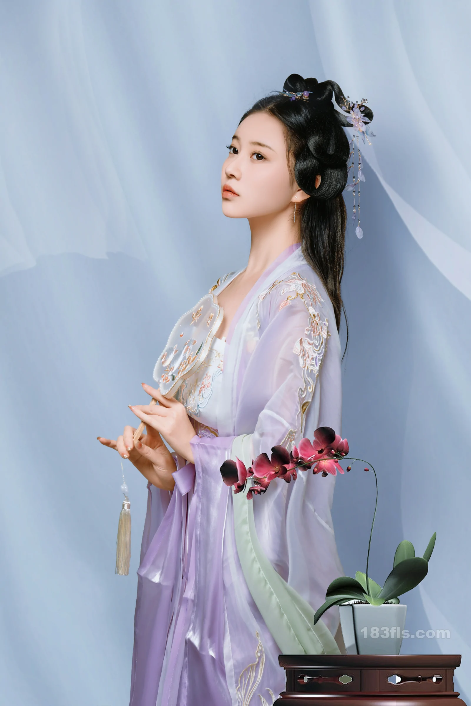 年年nnian - 春日